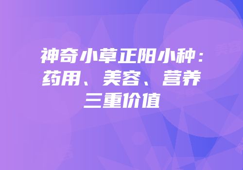 神奇小草正阳小种：药用、美容、营养三重价值