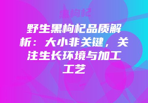 野生黑枸杞品质解析：大小非关键，关注生长环境与加工工艺