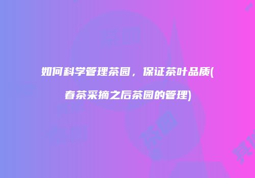 如何科学管理茶园，保证茶叶品质(春茶采摘之后茶园的管理)