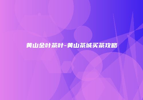 黄山金叶茶叶-黄山茶城买茶攻略