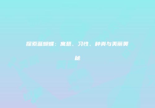 探索蓝蝴蝶：寓意、习性、种类与美丽奥秘