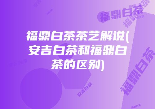 福鼎白茶茶艺解说(安吉白茶和福鼎白茶的区别)