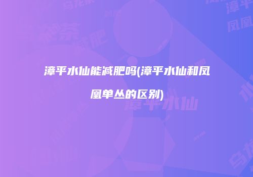漳平水仙能减肥吗(漳平水仙和凤凰单丛的区别)