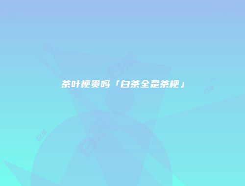 茶叶梗贵吗「白茶全是茶梗」