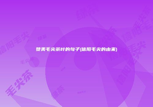 赞美毛尖茶叶的句子(信阳毛尖的由来)