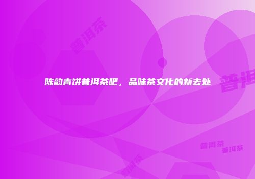 陈韵青饼普洱茶吧，品味茶文化的新去处