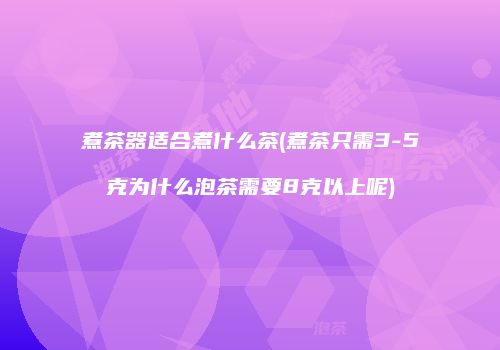 煮茶器适合煮什么茶(煮茶只需3-5克为什么泡茶需要8克以上呢)