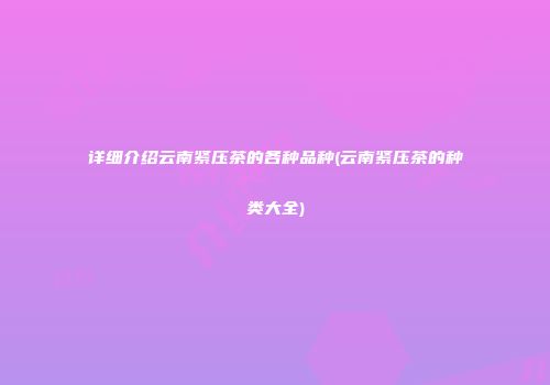 详细介绍云南紧压茶的各种品种(云南紧压茶的种类大全)