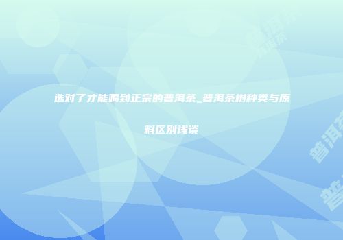 选对了才能喝到正宗的普洱茶_普洱茶树种类与原料区别浅谈
