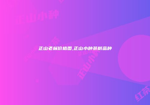 正山老枞价格图,正山小种茶树品种