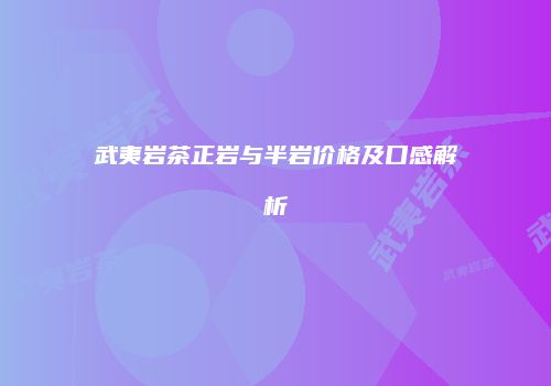 武夷岩茶正岩与半岩价格及口感解析