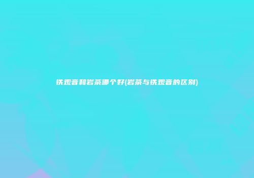 铁观音和岩茶哪个好(岩茶与铁观音的区别)
