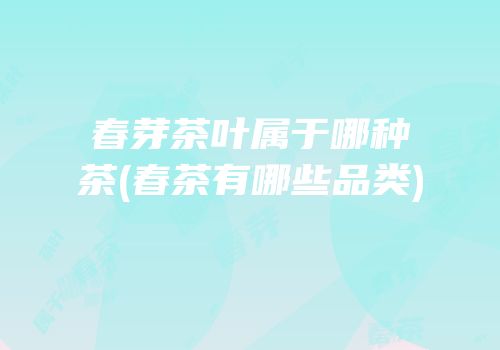 春芽茶叶属于哪种茶(春茶有哪些品类)