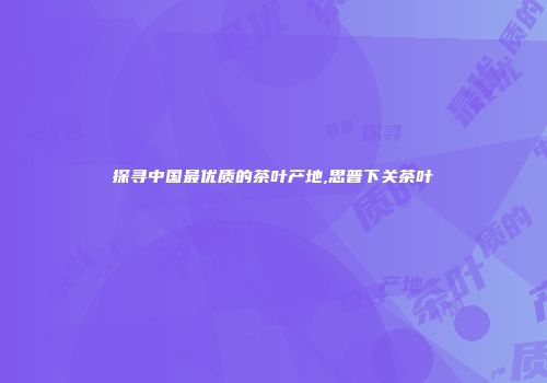 探寻中国最优质的茶叶产地,思普下关茶叶