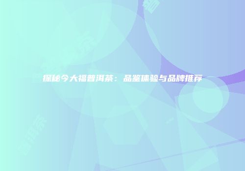 探秘今大福普洱茶：品鉴体验与品牌推荐