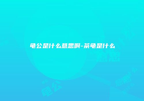 龟公是什么意思啊-茶龟是什么