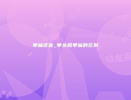 单枞读音_单丛和单枞的区别