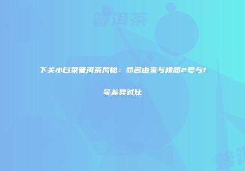 下关小白菜普洱茶揭秘：命名由来与橡筋2号与1号差异对比