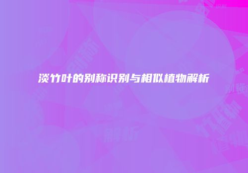 淡竹叶的别称识别与相似植物解析