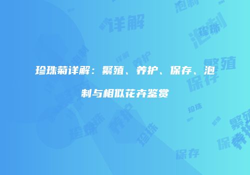珍珠菊详解：繁殖、养护、保存、泡制与相似花卉鉴赏