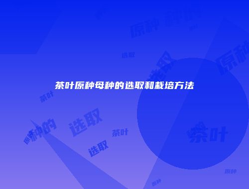 茶叶原种母种的选取和栽培方法