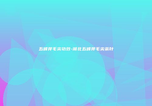 五峰芽毛尖功效-湖北五峰芽毛尖茶叶