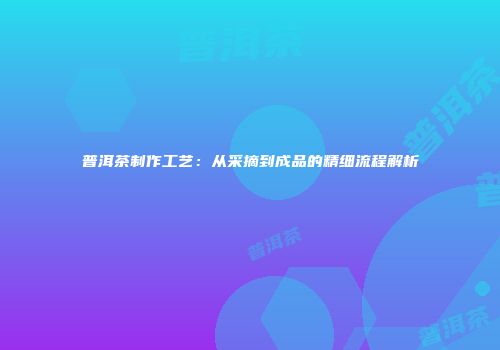 普洱茶制作工艺：从采摘到成品的精细流程解析