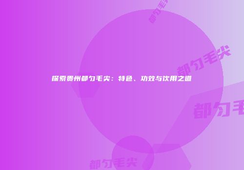 探索贵州都匀毛尖：特色、功效与饮用之道