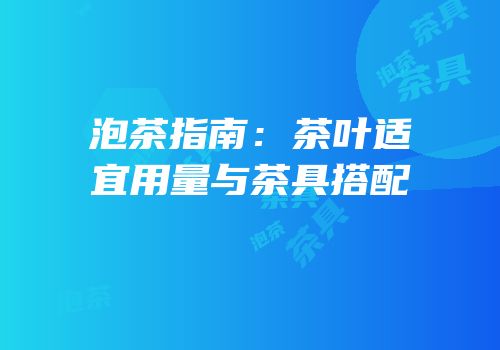 泡茶指南：茶叶适宜用量与茶具搭配
