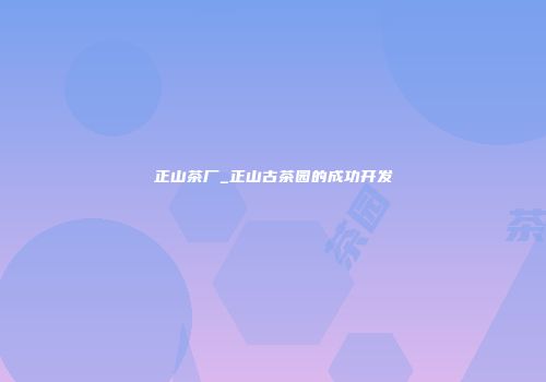 正山茶厂_正山古茶园的成功开发