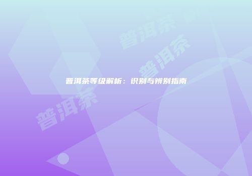 普洱茶等级解析：识别与辨别指南