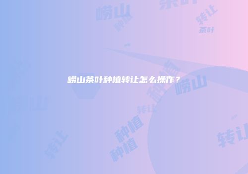 崂山茶叶种植转让怎么操作？