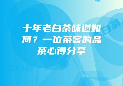 十年老白茶味道如何？一位茶客的品茶心得分享