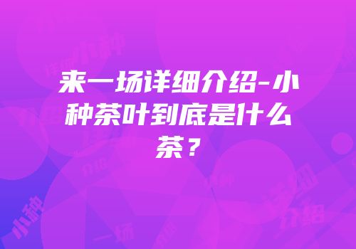 来一场详细介绍-小种茶叶到底是什么茶？