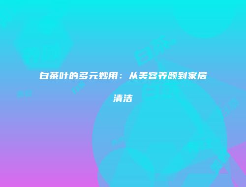 白茶叶的多元妙用：从美容养颜到家居清洁