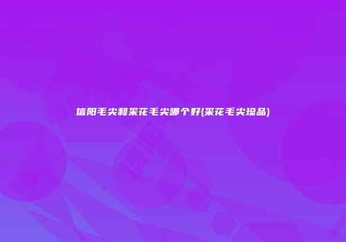 信阳毛尖和采花毛尖哪个好(采花毛尖珍品)
