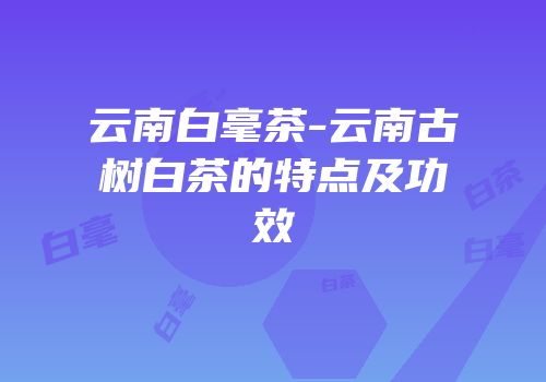云南白毫茶-云南古树白茶的特点及功效