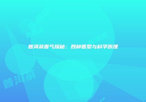 普洱茶香气探秘：四种香型与科学原理