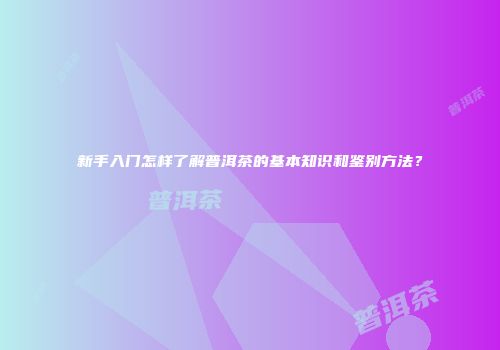 新手入门怎样了解普洱茶的基本知识和鉴别方法？