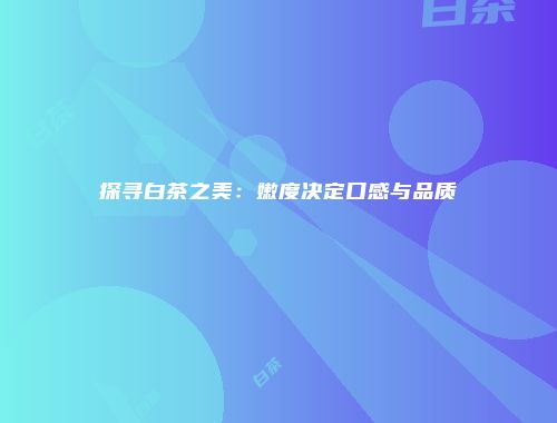 探寻白茶之美：嫩度决定口感与品质