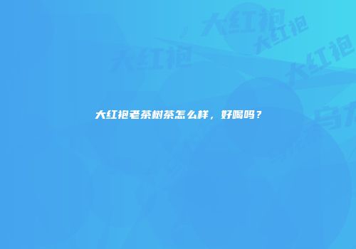 大红袍老茶树茶怎么样，好喝吗？