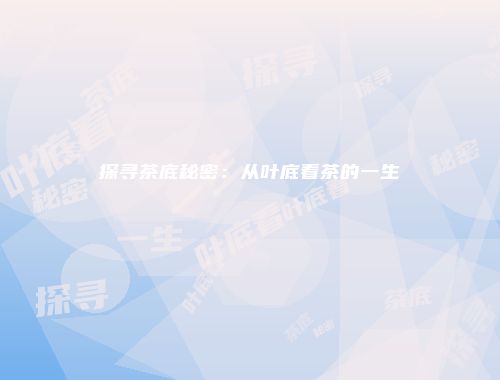 探寻茶底秘密：从叶底看茶的一生