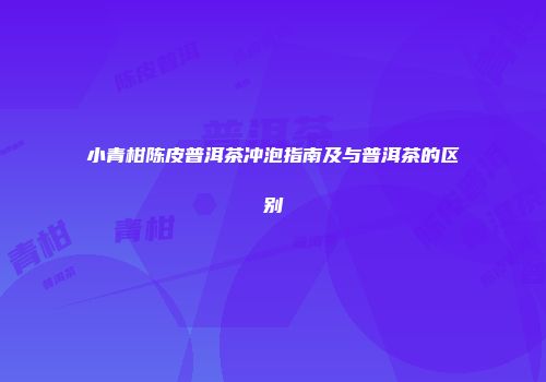 小青柑陈皮普洱茶冲泡指南及与普洱茶的区别