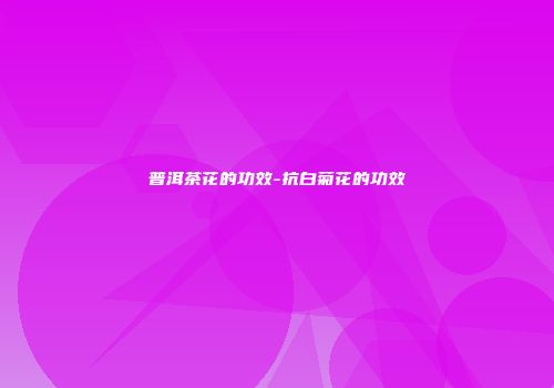 普洱茶花的功效-抗白菊花的功效