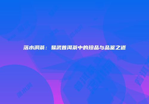 落水洞茶：易武普洱茶中的珍品与品鉴之道