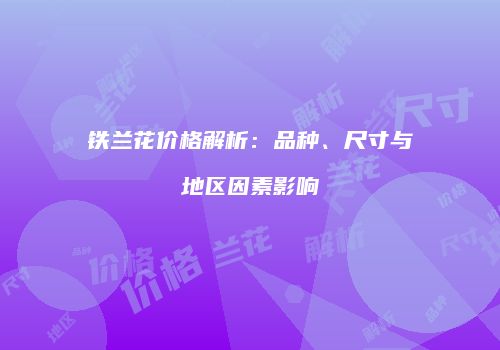 铁兰花价格解析：品种、尺寸与地区因素影响