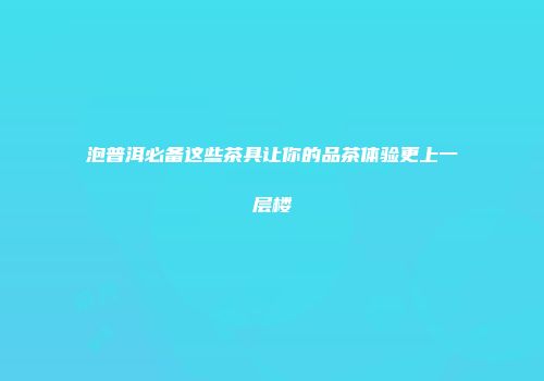 泡普洱必备这些茶具让你的品茶体验更上一层楼