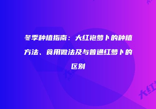 冬季种植指南：大红袍萝卜的种植方法、食用做法及与普通红萝卜的区别