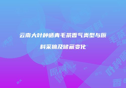云南大叶种晒青毛茶香气类型与原料采摘及储藏变化