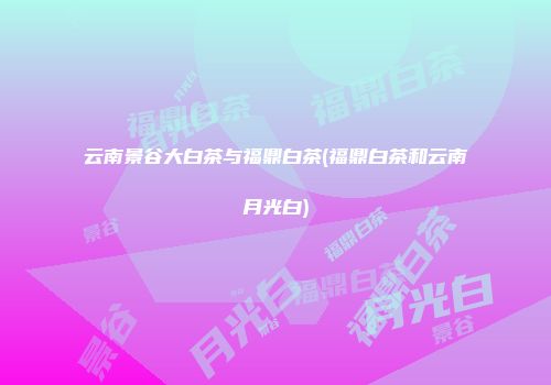 云南景谷大白茶与福鼎白茶(福鼎白茶和云南月光白)